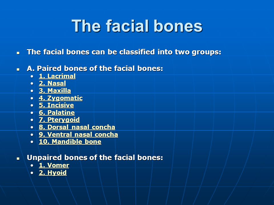 The facial bones The facial bones can be classified into two groups: