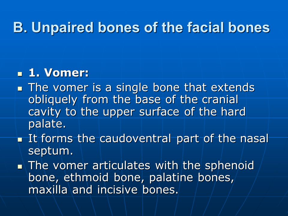 B. Unpaired bones of the facial bones