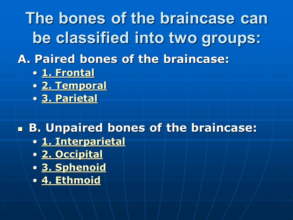 The bones of the braincase can be classified into two groups: