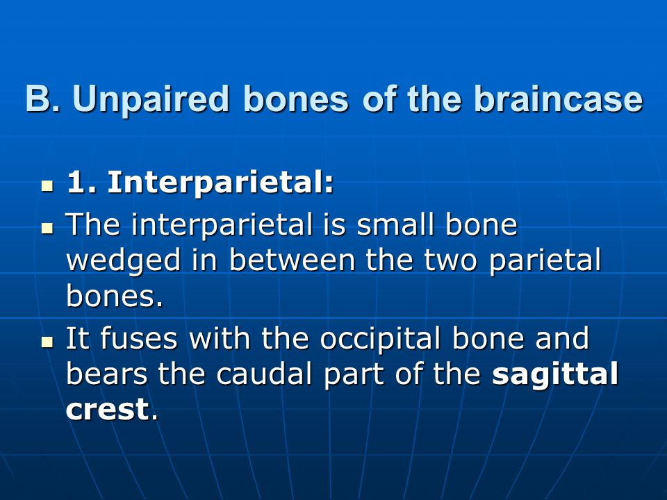 B. Unpaired bones of the braincase
