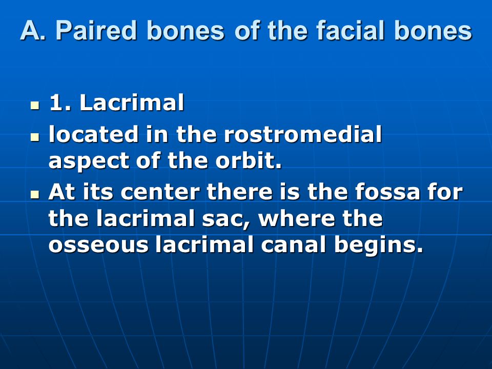 A. Paired bones of the facial bones
