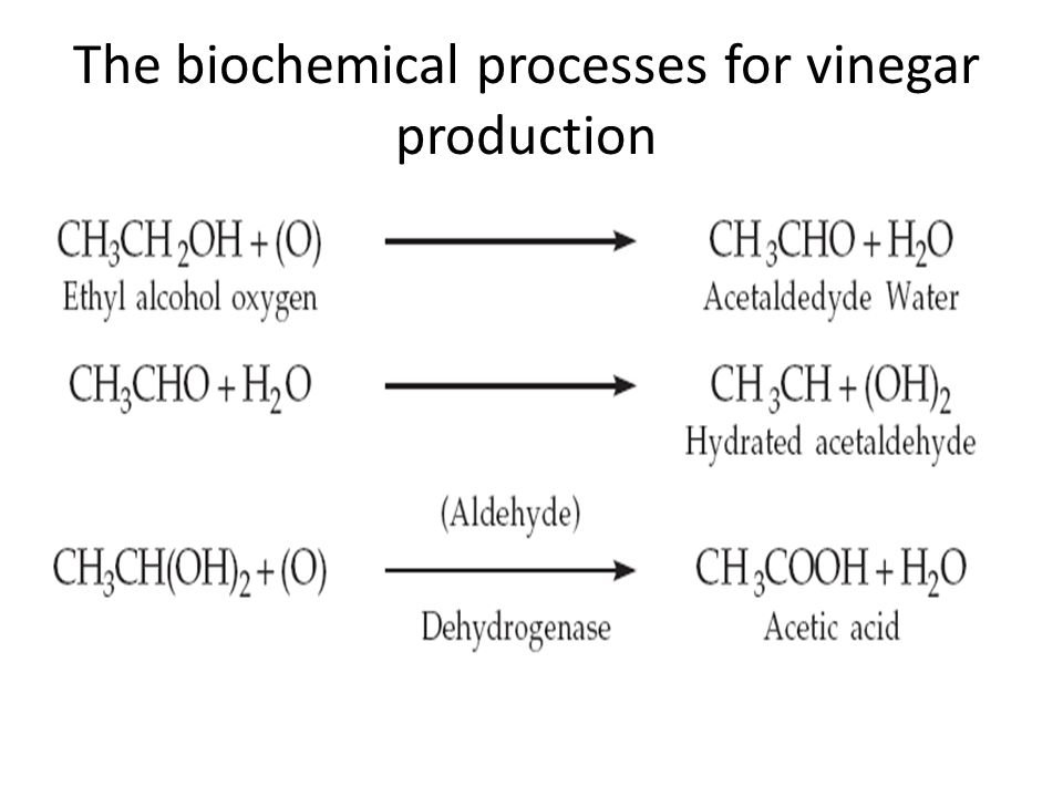 Vinegar Production Flow Chart