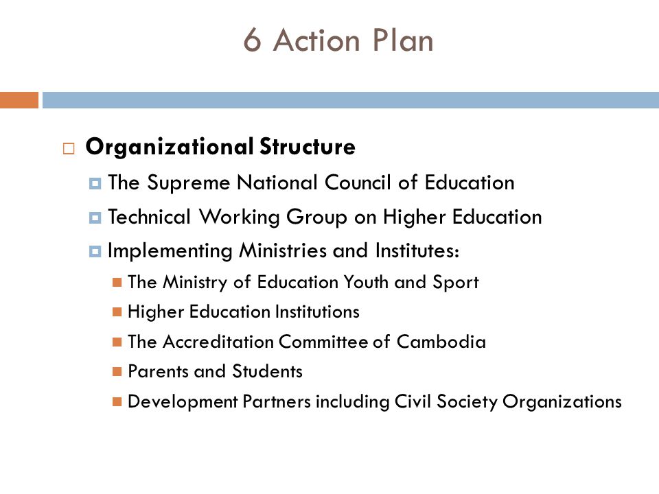 6 Action Plan Organizational Structure