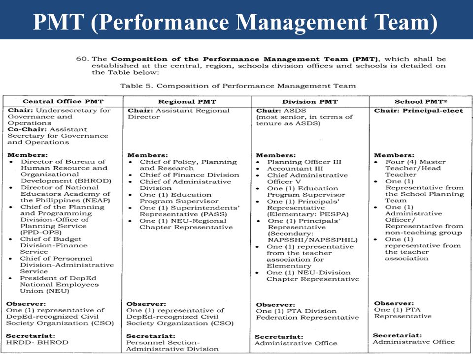 PMT (Performance Management Team)