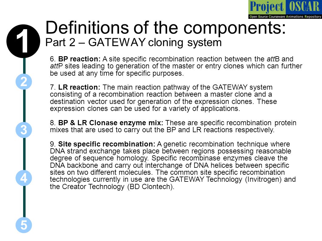 Recombinational cloning - ppt download Recombinational cloning - ppt download