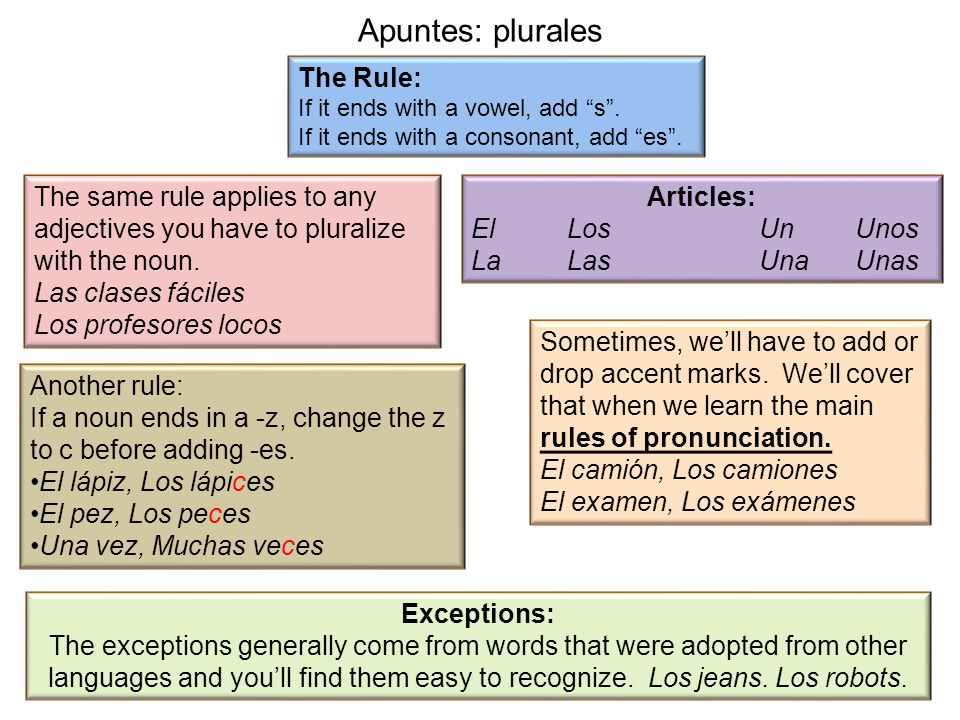 Apuntes: plurales The Rule:
