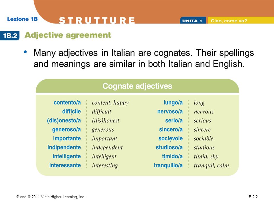 Life adjective. Come with adjectives. Adjective заканчивается  на е. Книга adjective. Opposite adjectives in Italian.