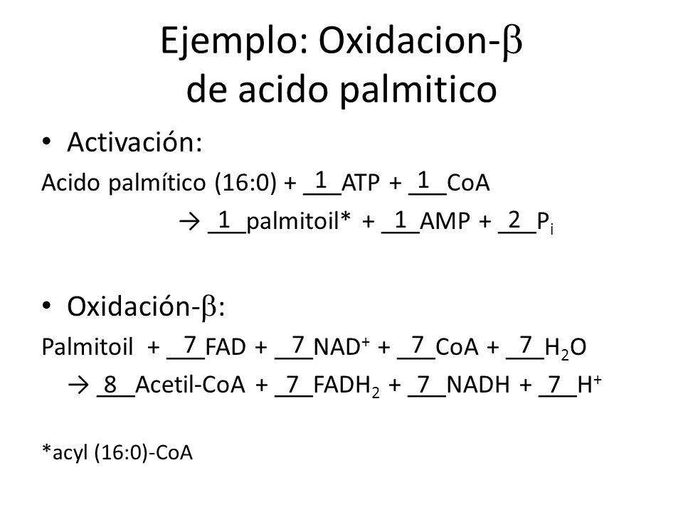 Metabolismos: Glicólisis y oxidación-b - ppt download