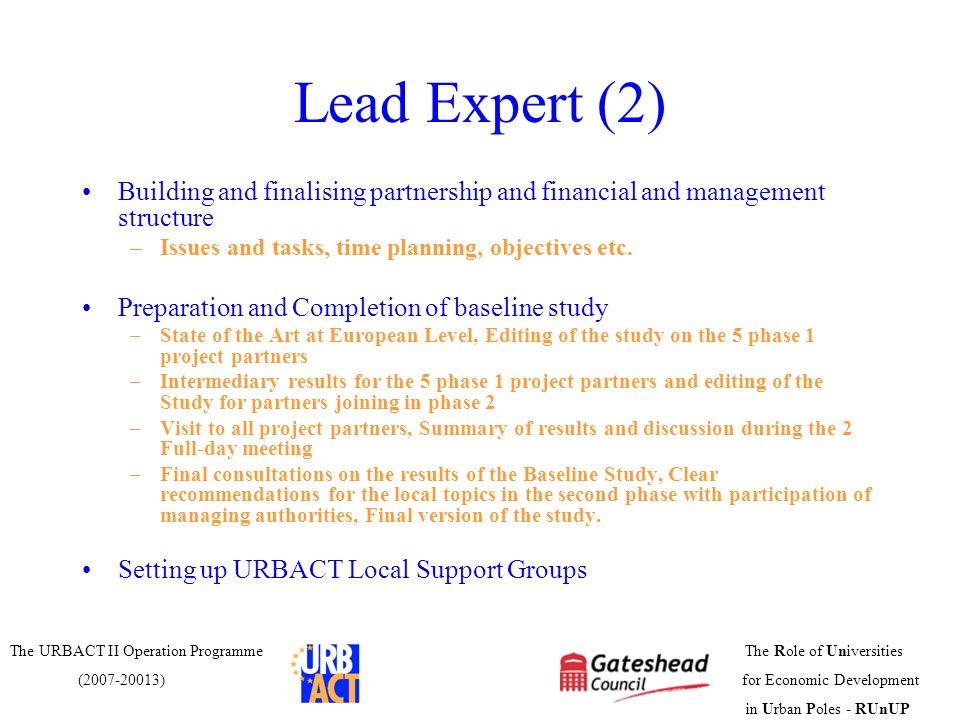 Lead Expert (2) Building and finalising partnership and financial and management structure. Issues and tasks, time planning, objectives etc.