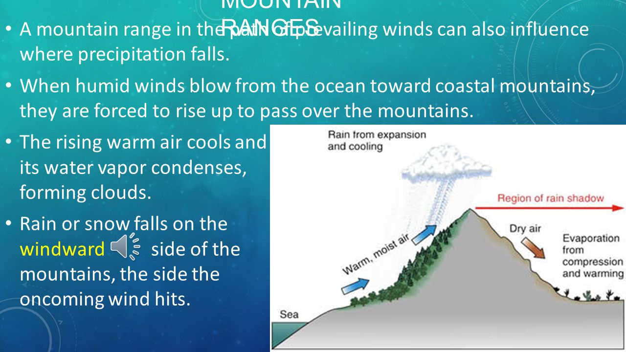 Mountain Ranges A mountain range in the path of prevailing winds can also influence where precipitation falls.