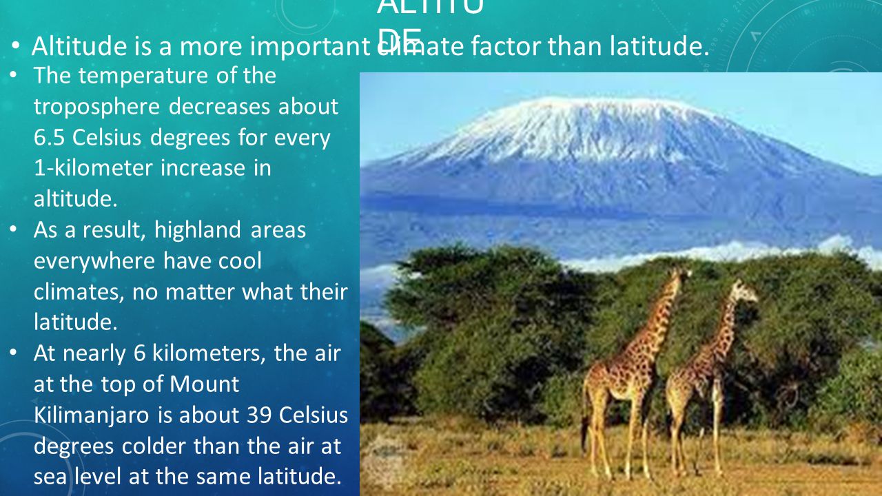 Altitude Altitude is a more important climate factor than latitude.