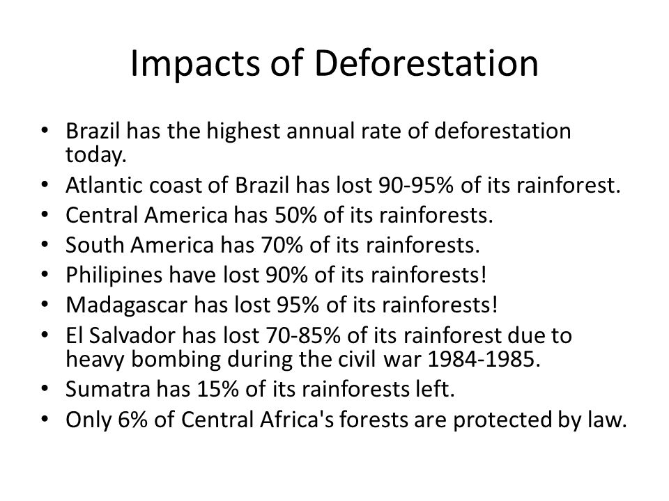 effects of deforestation in points