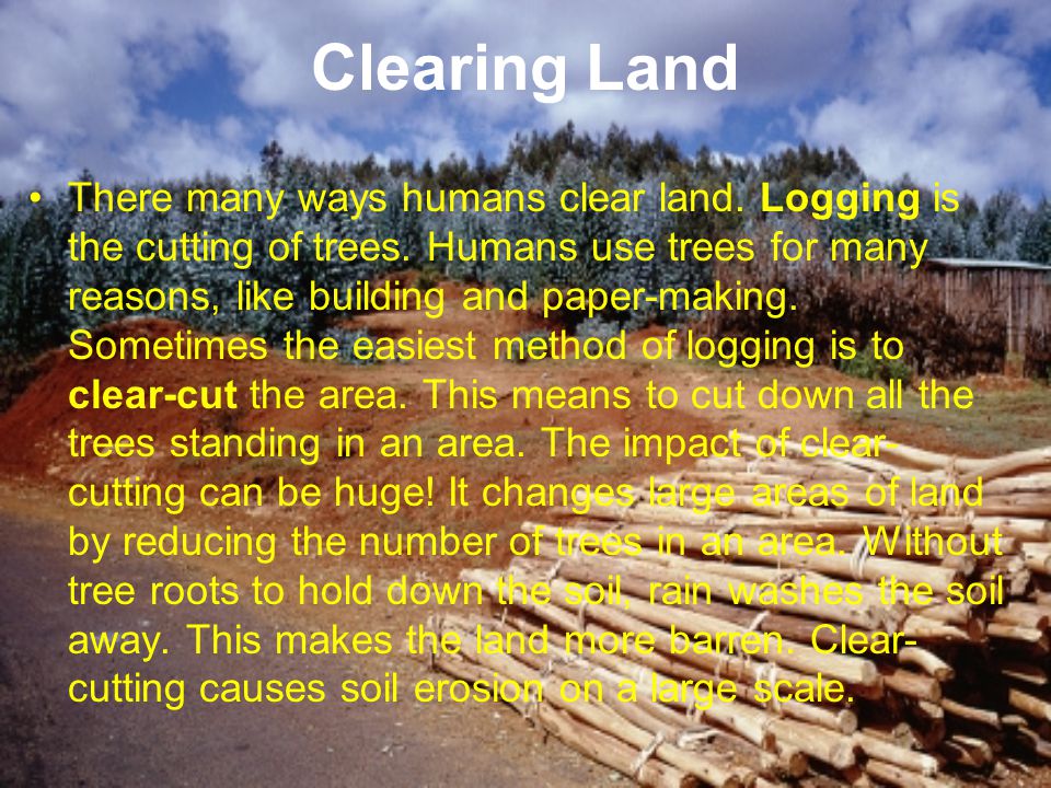 Clearing Land