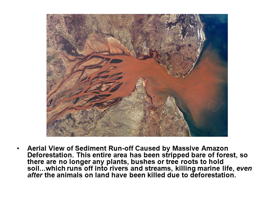 Aerial View of Sediment Run-off Caused by Massive Amazon Deforestation