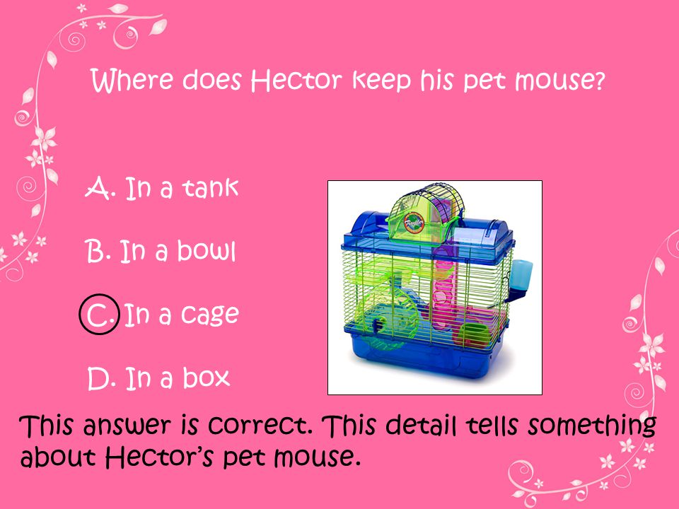 Where does Hector keep his pet mouse