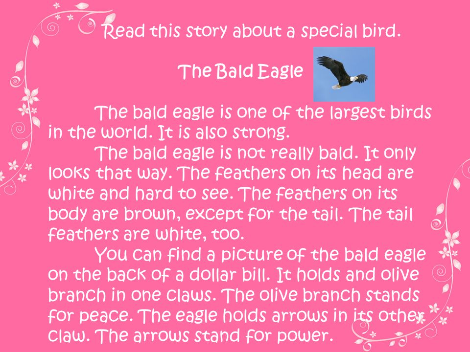 Read this story about a special bird.