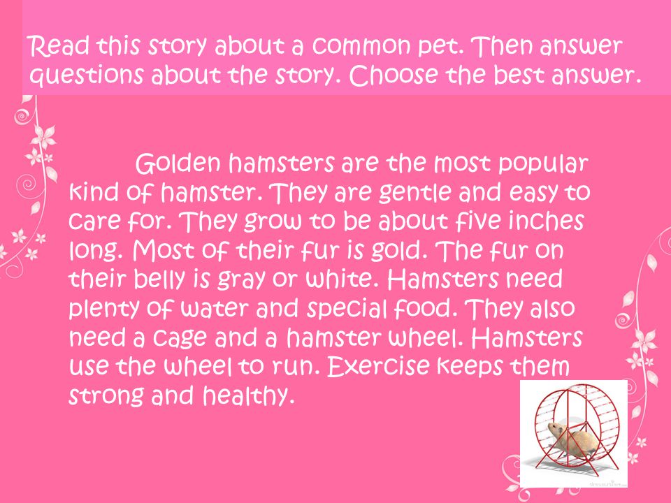 Read this story about a common pet