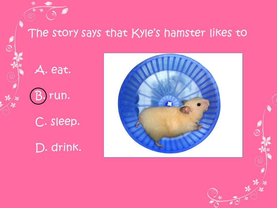 The story says that Kyle’s hamster likes to