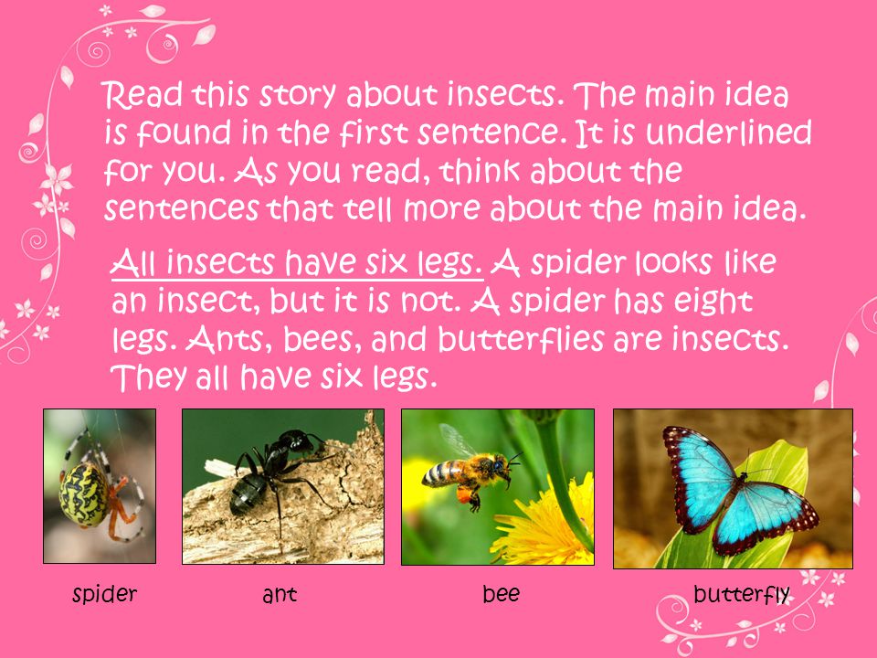 Read this story about insects
