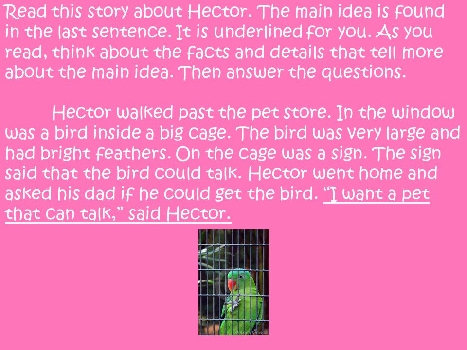 Read this story about Hector