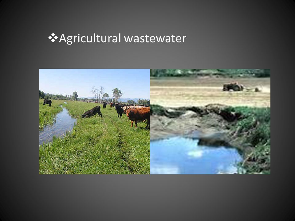 Agricultural wastewater