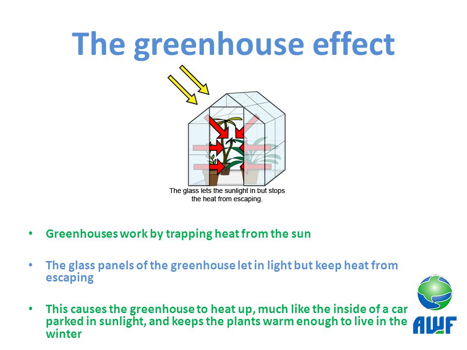 The greenhouse effect Greenhouses work by trapping heat from the sun