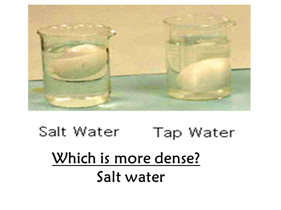 Which is more dense Salt water