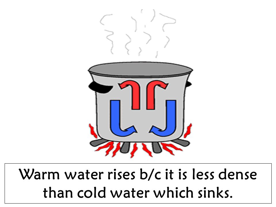 Warm water rises b/c it is less dense than cold water which sinks.