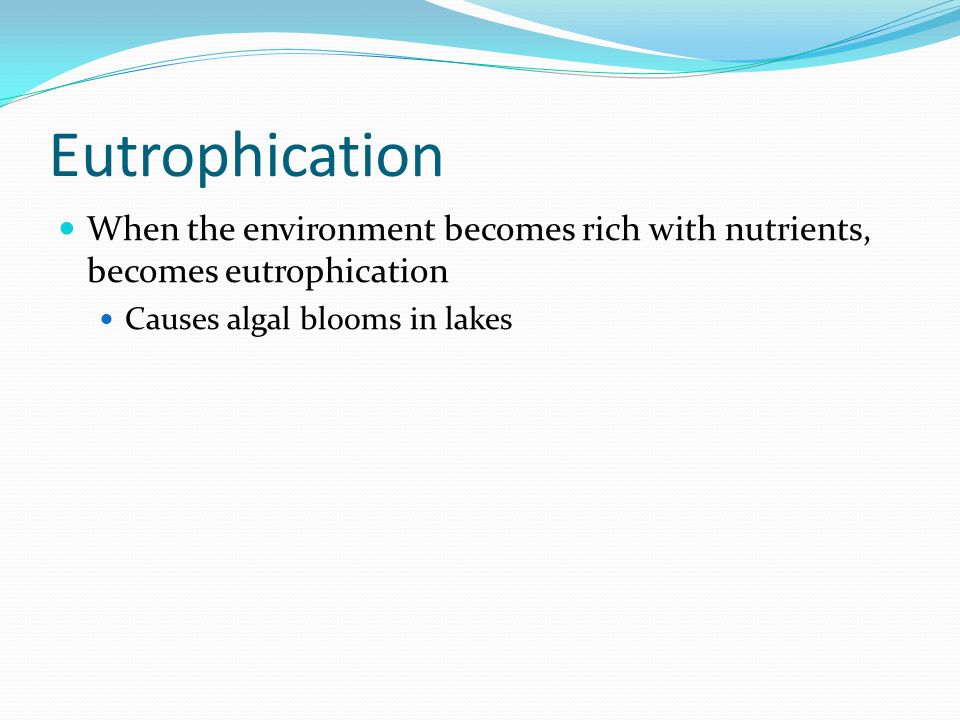 Eutrophication When the environment becomes rich with nutrients, becomes eutrophication.