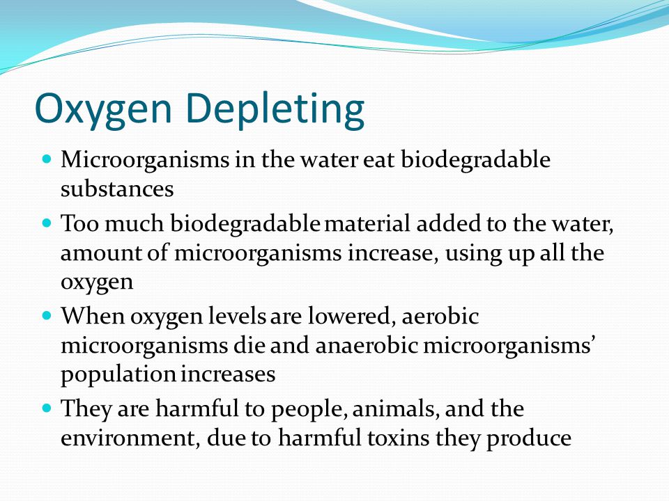 Oxygen Depleting Microorganisms in the water eat biodegradable substances.