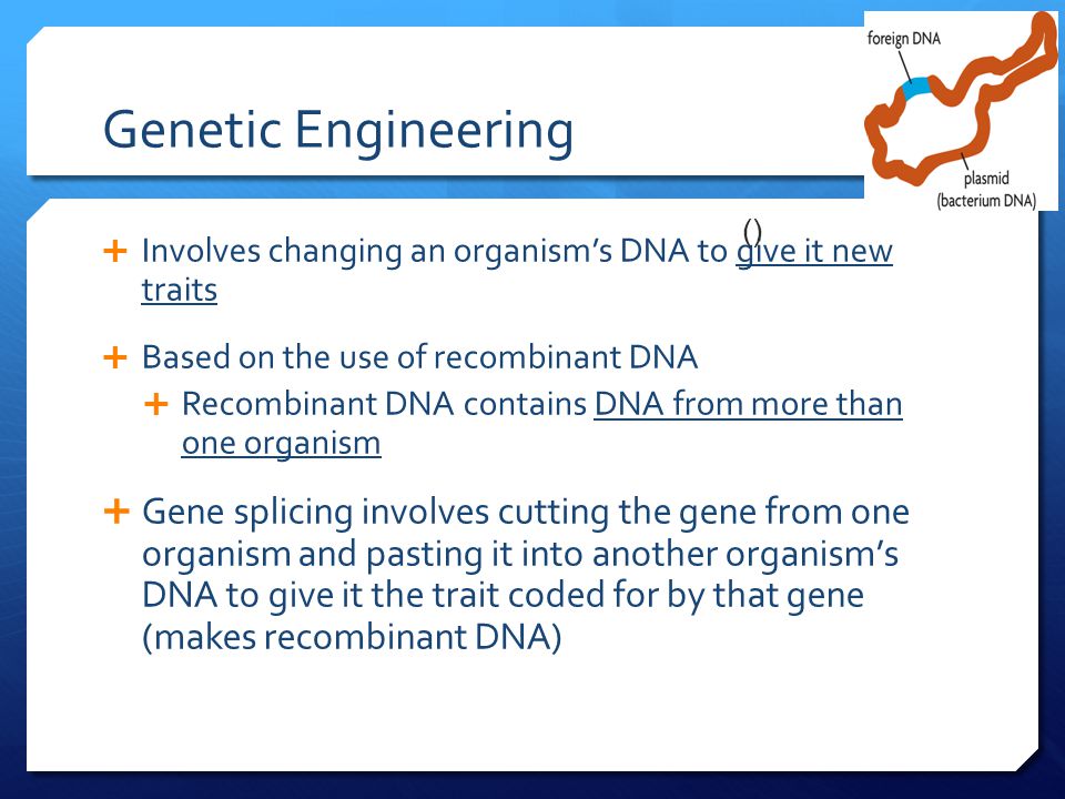 () Genetic Engineering. Involves changing an organism’s DNA to give it new traits. Based on the use of recombinant DNA.