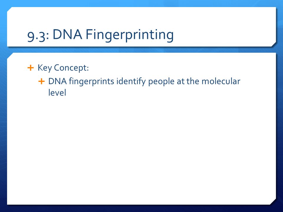 9.3: DNA Fingerprinting Key Concept: