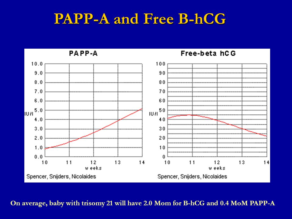 Drahomira Springer Ukbld And 1 Lf Uk Praha Ppt Video Online Download