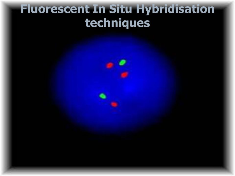 Fluorescent In Situ Hybridisation techniques