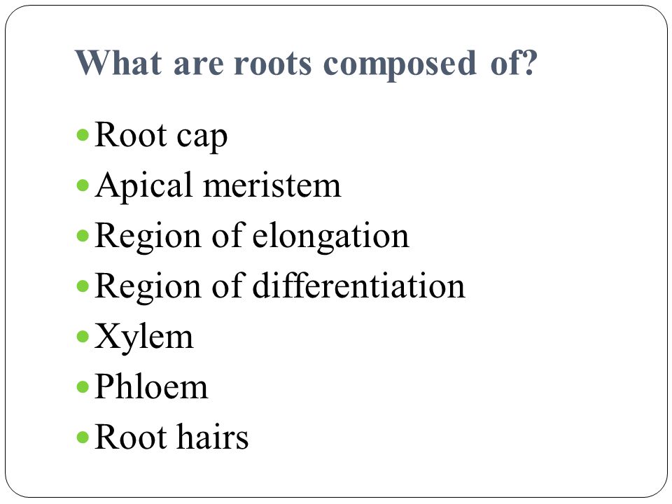 What are roots composed of