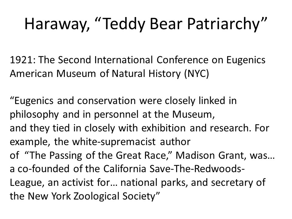 Haraway, Teddy Bear Patriarchy