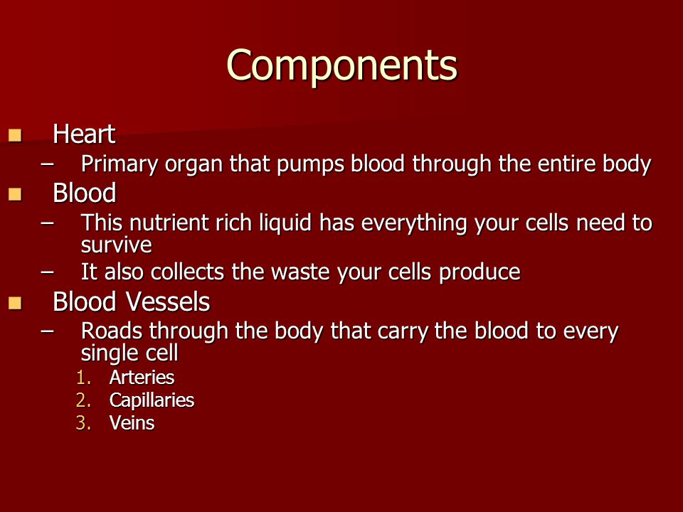 Components Heart Blood Blood Vessels