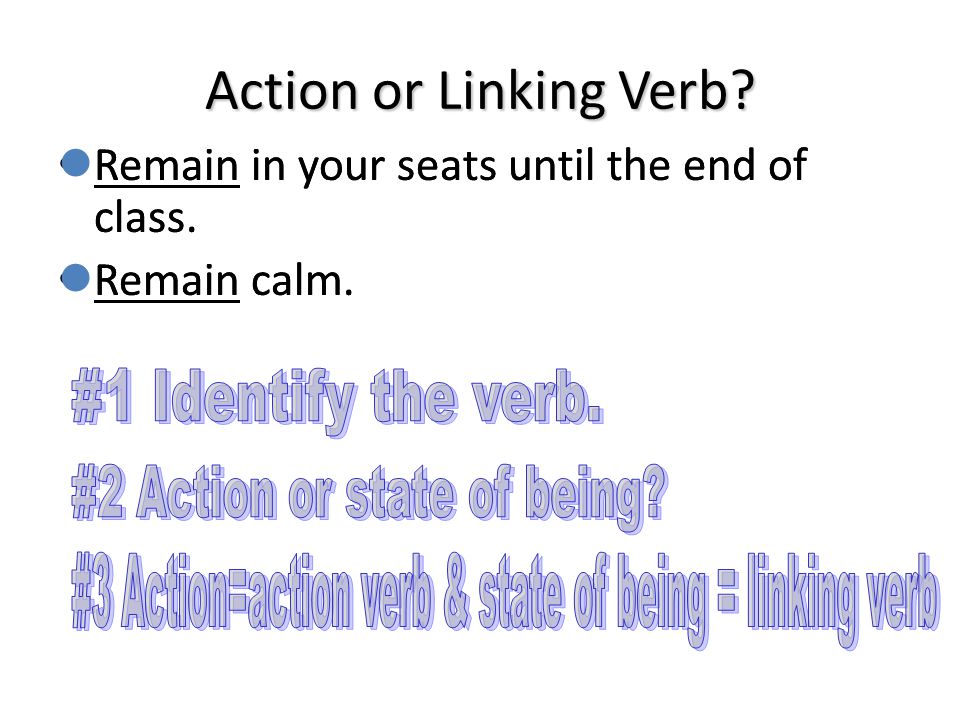 Action or Linking Verb Remain in your seats until the end of class.