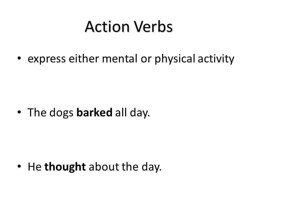 Action Verbs express either mental or physical activity