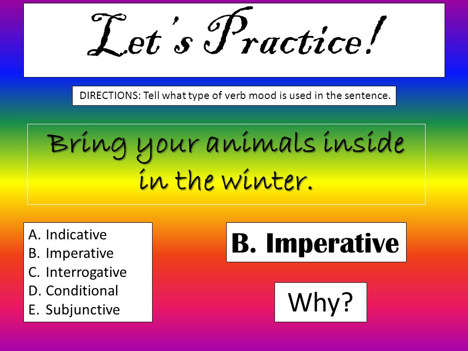 Bring your animals inside in the winter.