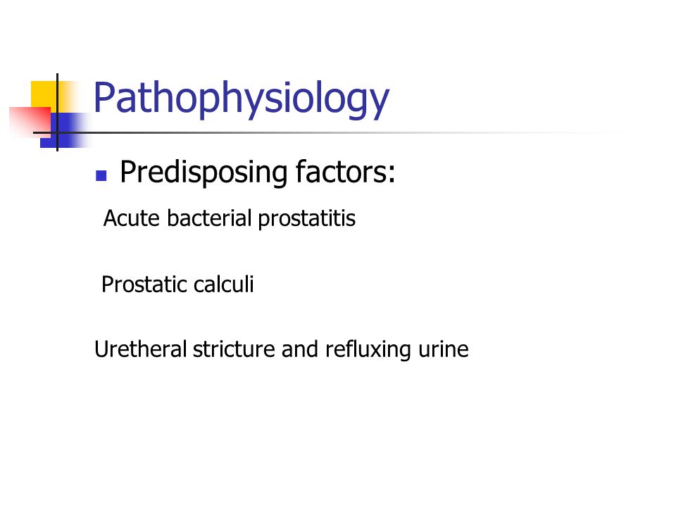 acute bacterial prostatitis pathophysiology)