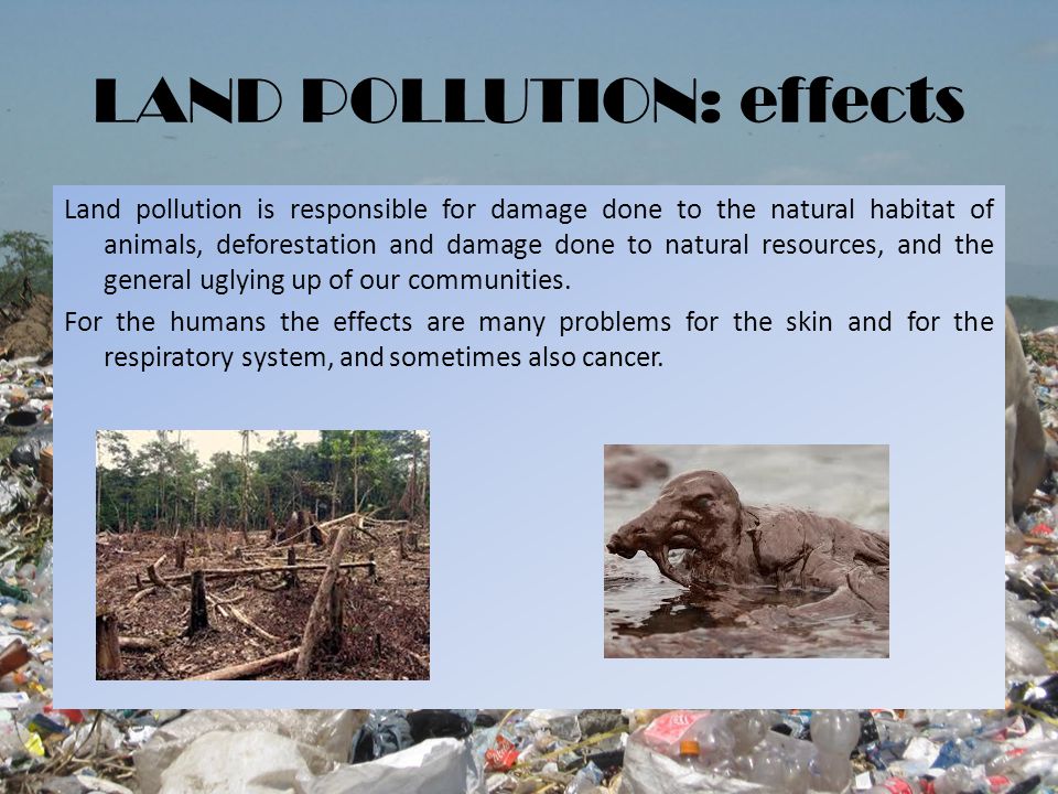 LAND POLLUTION: definition - ppt video online download