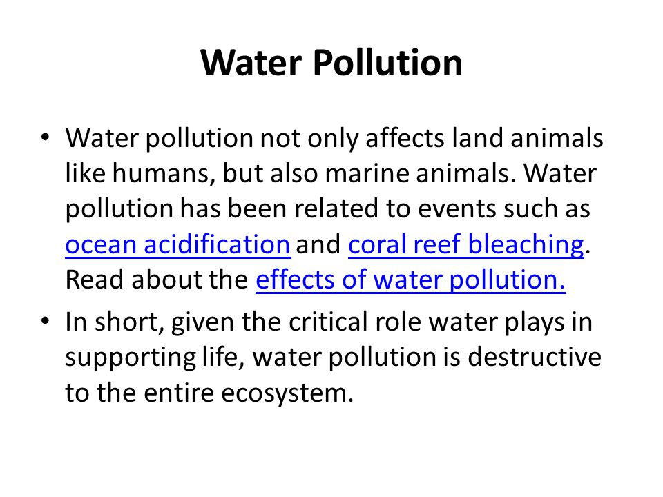 paragraph on effects of water pollution