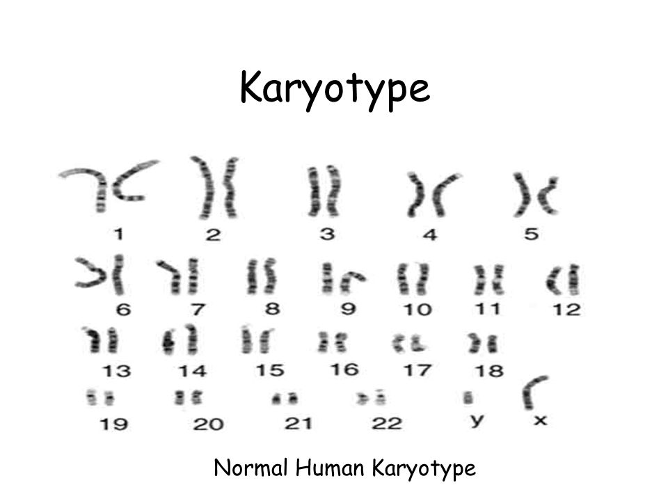 Chromosome Chart Name