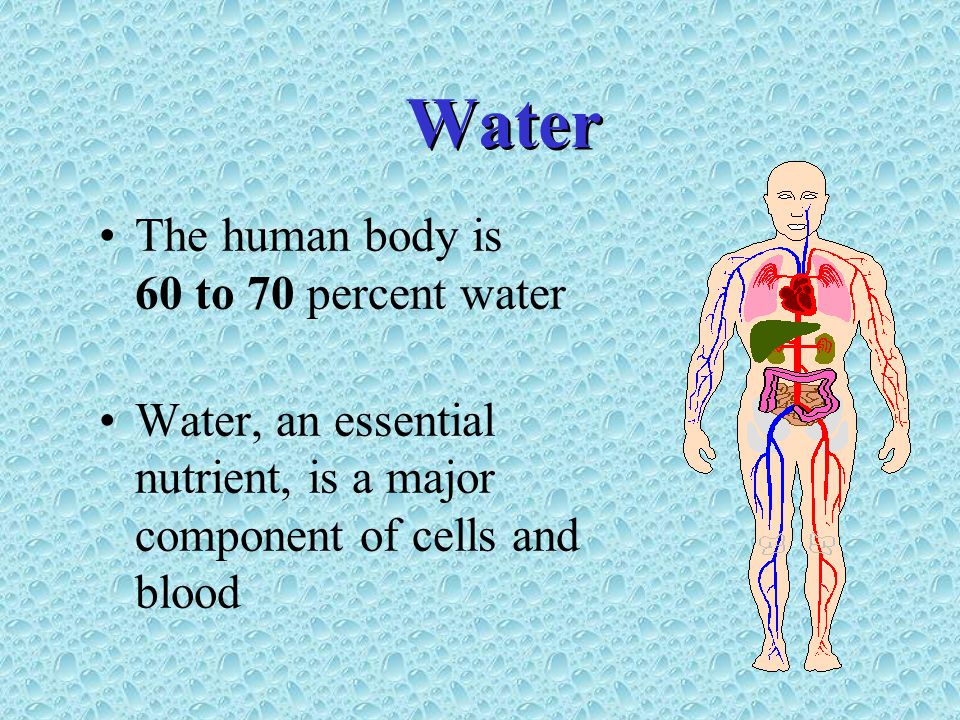 Water The human body is 60 to 70 percent water