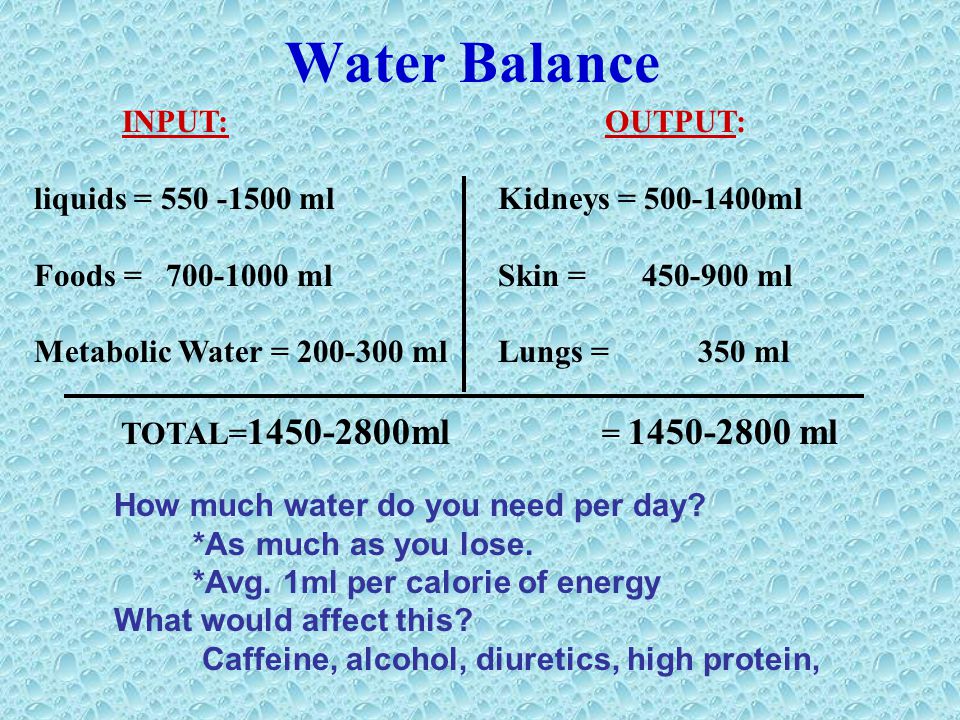 Water Balance INPUT: liquids = ml Foods = ml