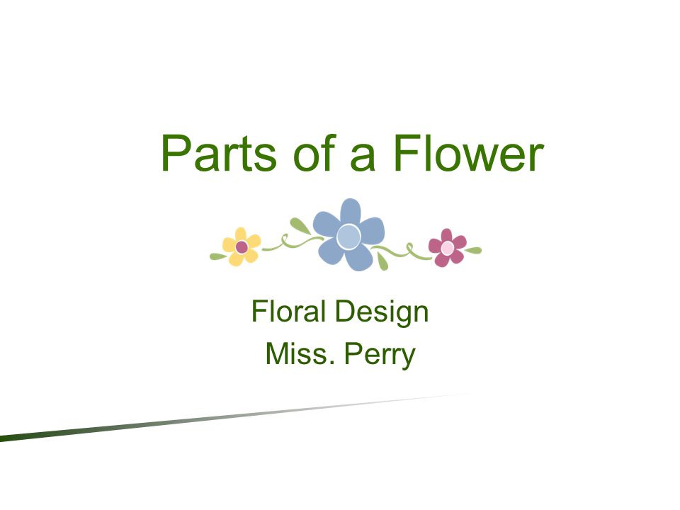 Floral Design Miss. Perry