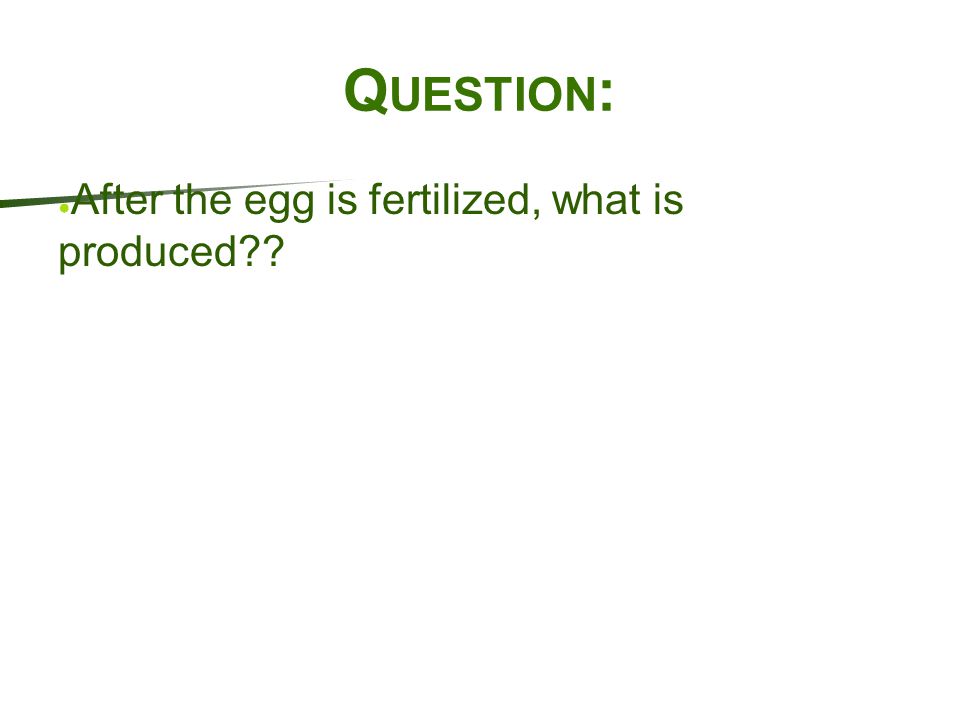 Question: After the egg is fertilized, what is produced