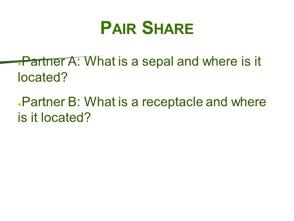 Pair Share Partner A: What is a sepal and where is it located