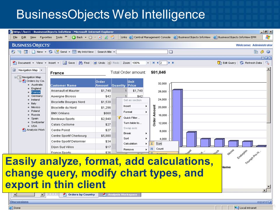 BusinessObjects Web Intelligence